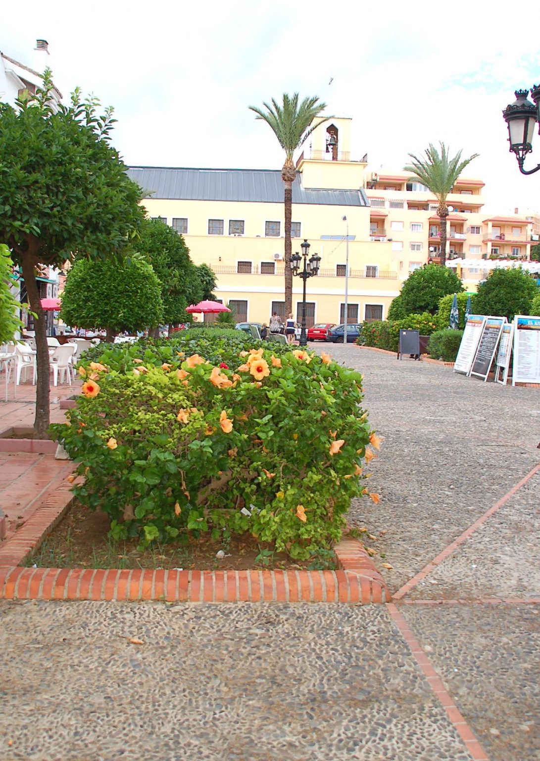 Jupiter Minerva Apartments Gapp Properties to Rent in Benalmadena